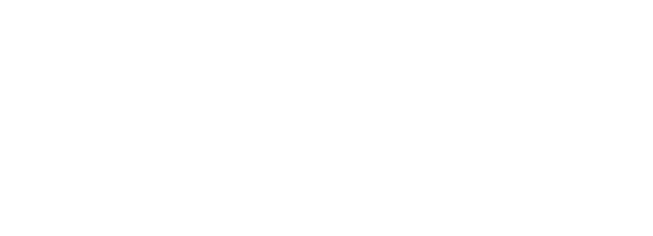 Flutter logo